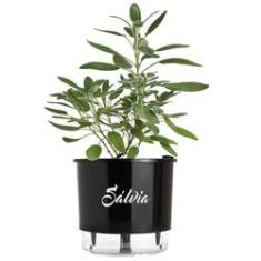 Imagem de Vaso Raiz Auto Irrigável N3 16x14  Sálvia Temperos