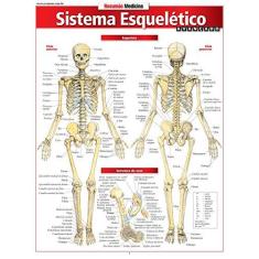 Imagem de Resumão. Sistema Esqueletico Avançado - Capa Flexível - 9788577112111