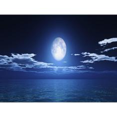 Imagem de Papel De Parede Praia Mar Lua Cheia Céu 3D  Npr224