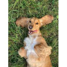 Imagem de Kit 2 Quebra-Cabeças Cognitivos Cachorros 40 Peças - Reidopendrive