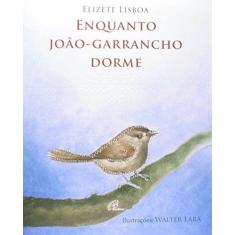 Imagem de Enquanto Joao Garrancho Dorme - Capa Comum - 9788535637311