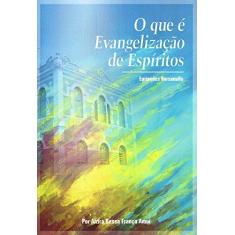 Imagem de O que É Evangelização de Espíritos - Alzira Bessa França Amui - 9788588821071