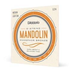 Imagem de Encord Bandolim .011 D'Addario Nickel-Plated Steel EJ74