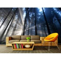 Imagem de Papel de Parede Paisagens Floresta 118 - 1,00 X 1,00