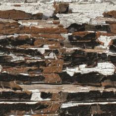 Imagem de Papel De Parede Adesivo Lavável Lascas De Tronco 18M