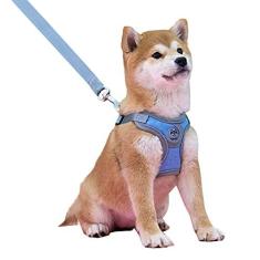 Imagem de PatKare Peitoral para cães, conjunto de coleira e coleira refletiva ajustável para cães pequenos, kit de colete de malha de ar macio para filhotes e gatos de raças pequenas e médias