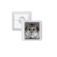 Imagem de Hamster Animal Rat Pet Cute Eat Keycap Teclado mecânico PBT Kit de atualização para jogos