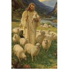 Imagem de Kit 2 Quebra-Cabeças Cognitivos Bom Pastor 24 Peças Idosos - Reidopend