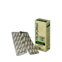 Imagem de Extrato De Própolis Verde Propomax 30 Capsulas Apis Flora