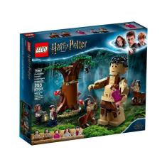Imagem de LEGO Harry Potter A Floresta Proibida: O Encontro de Grope e Umbridge