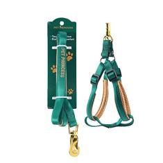 Imagem de passeio para cães, arnês nylon para passear, peitoral ajustável para cães pequenos e médios para treinamento caminhada, leve, respirável para cães gatos pequeno e médio porte
