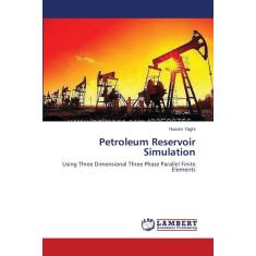 Imagem de Petroleum Reservoir Simulation