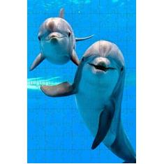 Imagem de Quebra-cabeça Golfinhos da Onda 120 peças