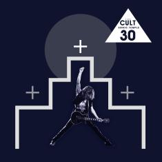 Imagem de Sonic Temple [Disco de Vinil]