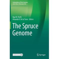 Imagem de The Spruce Genome