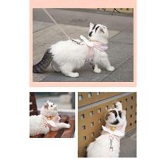 Imagem de Coleira de colete para gatos, ajustável para as 4 estações, universal, segura, leve, para animais de estimação, com corda de tração de 1,5 m para suprimentos para animais de estimação (2GG (4 – 6 kg))