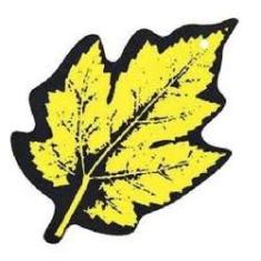 Imagem de Odorizante Sachet Rad Air Radnaq RQ4025