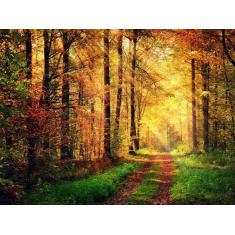 Imagem de Papel De Parede Estrada Caminho Floresta 3D 7,50m² Nes091