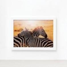 Imagem de Quadro para Sala Foto Safari Zebra Moldura  22x32cm