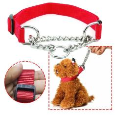 Imagem de Coleira Ajustavel Cachorro Caes Corrente Regulavel Semi Enfo