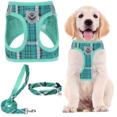 Imagem de PUPTECK Conjunto de coleira e guia ajustáveis para cães pequenos, filhotes e gatos, treinamento ao ar livre e corrida, colete refletivo acolchoado de malha macia
