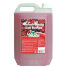 Imagem de Sabonete Espuma Frutas Vermelhas Verdesan 5 Litros