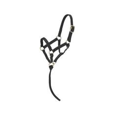 Imagem de Tough 1 Cabresto de nylon miniatura, preto, grande mini