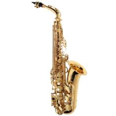 Imagem de Saxofone Alto Michael Linha Essence WASM30N Dourado - com Case