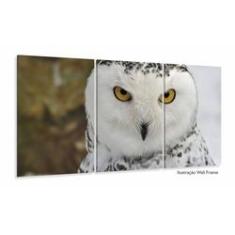 Imagem de Quadros Decorativos Coruja  120x60 3 peças em Tecido
