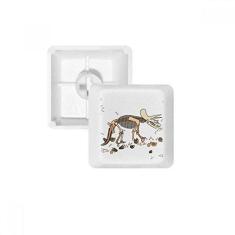 Imagem de Bones Bone Miniatura Dinossauro Teclado Mecânico PBT Gaming Upgrade Kit