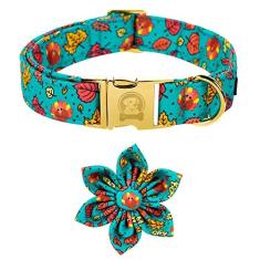 Imagem de MR. CHUBBYFACE Coleira para cães de Ação de Graças outono bordo e flor de peru coleira ajustável com flor para cães pequenos, médios e grandes