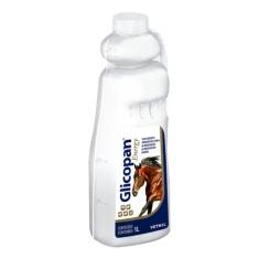 Imagem de Glicopan Energy 1 Lt - Vetnil