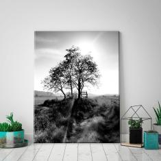 Imagem de Tela Decorativa Spring Landscape