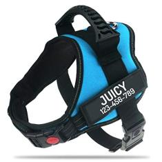 Imagem de PawPawify Peitoral para cães personalizado sem puxar, com nome e número de telefone personalizados, colete para animais de estimação resistente para evitar puxar, puxar ou asfixia, treinamento e caminhada