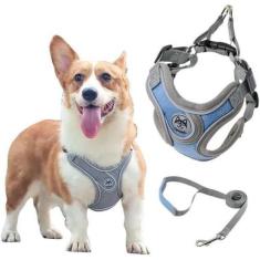 Imagem de Coleira Peitoral para Cachorros Ajustável com Guia de Passeio - Arte P