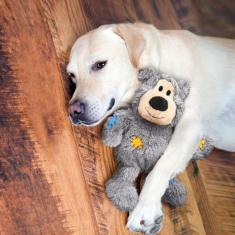 Imagem de Pelucia Kong Knots Ursinho Para Cães