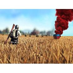 Imagem de Quadro Poster MDF Playerunknown Battleground Pubg15