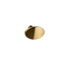 Imagem de Puxador Beetle Sem Base Gold Escovado