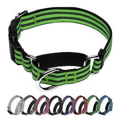 Imagem de JOYEEIIOO Coleira para cães Martingale, coleira refletiva de nylon ajustável com fivela, coleira para cães pequenos, médios e grandes (verde limão)