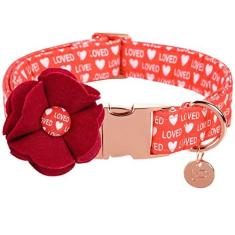 Imagem de UP URARA PUP Coleira de cachorro para dia dos namorados com flor de feltro, colar de flores para filhotes de cachorro ou gato, dia dos namorados e coleira para animais de estimação com fivela de metal, PP, pescoço 20 a 30 cm