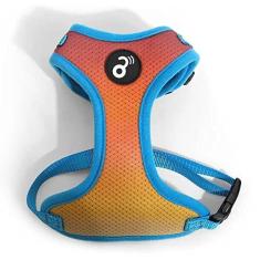 Imagem de Peitoral Flow Mesh Gradiente XP - Mimo - PP311