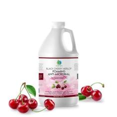 Imagem de Sabonete antibacteriano para as mãos antibacteriano hidratante para as mãos - refil de sabonete líquido antibacteriano - sabonete hidratante para as mãos antibacteriano - sabonete espumante suave para