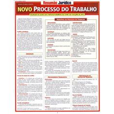 Imagem de Novo Processo do Trabalho - Longhi Dânia Fiorin - 9788577113446