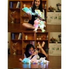 Imagem de Golfinho De Pelúcia Que Brilha No Escuro (Pilhas Inclusas)