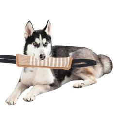 Imagem de Travesseiro de Mordida de Cachorro, Travesseiro de Mordida de Treinamento Interativo de Treinamento de Filhote de Cachorro Com Alça Reflexiva para Cabo de Guerra Buscar (Alça