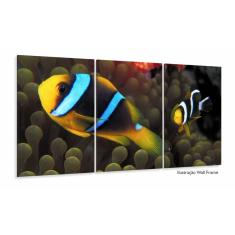 Imagem de Quadro Decorativo Peixe Palhaço 120x60