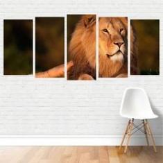 Imagem de Quadro Animais - Felinos Leão deitado 155X65 PlimShop