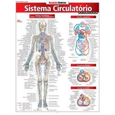 Imagem de Resumão Medicina - Sistema Circulatório - Avançado - Bf&a - 9788577113033