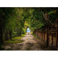 Imagem de Papel De Parede Estrada Caminho Floresta 3D 6M² Nes102