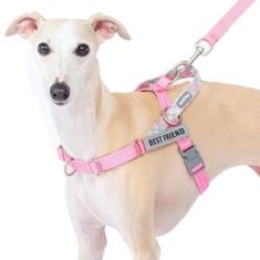 Imagem de Wuffley Conjunto de coleira e coleira para cães Easy Walk, Freedom sem puxão, com 2 adesivos, à prova de fuga/ajuste rápido para ajustar o peitoral para cães, fácil de treinar, caminhar para cães